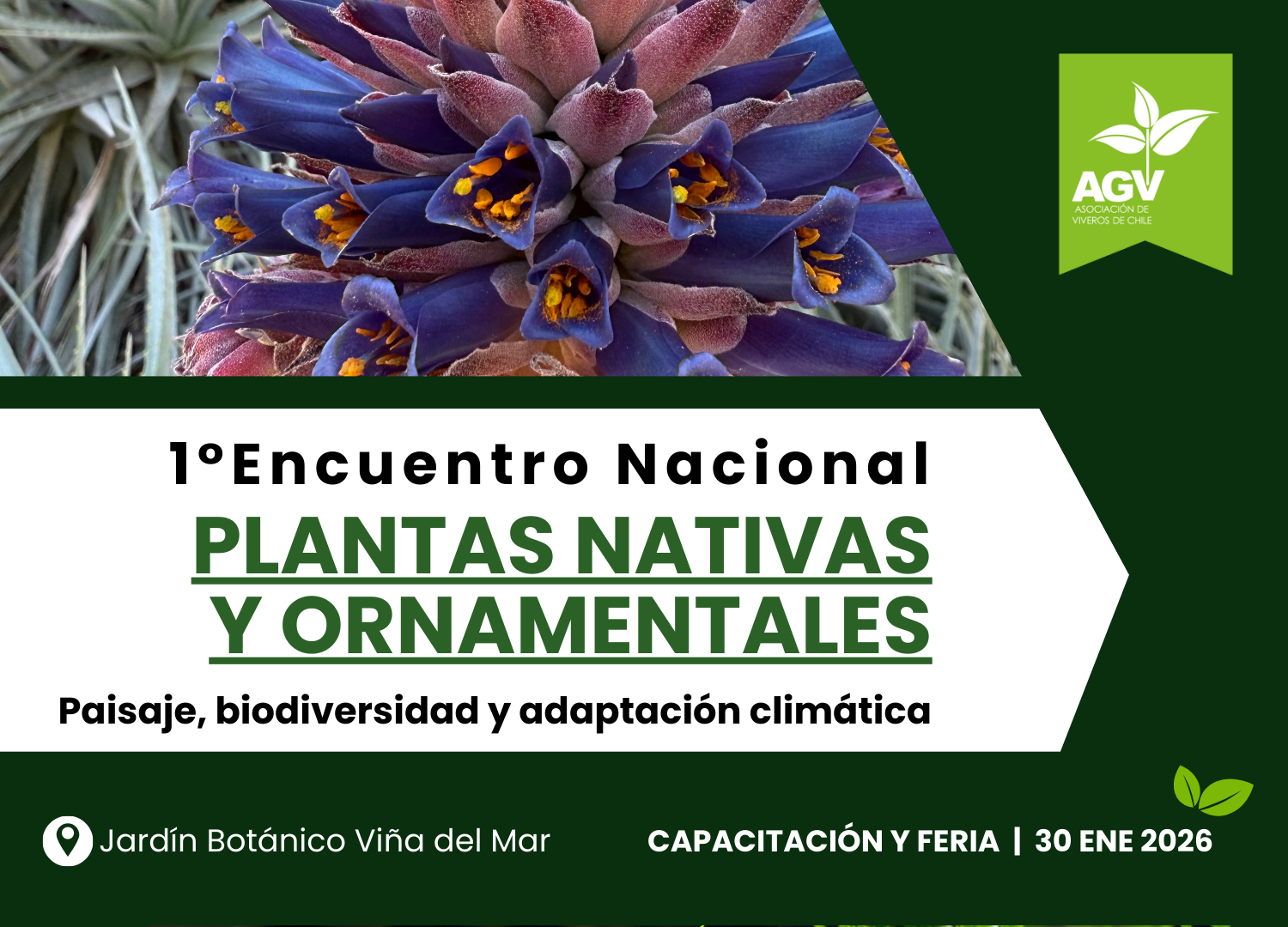 Untitled (1350 x 1080 px) (2)