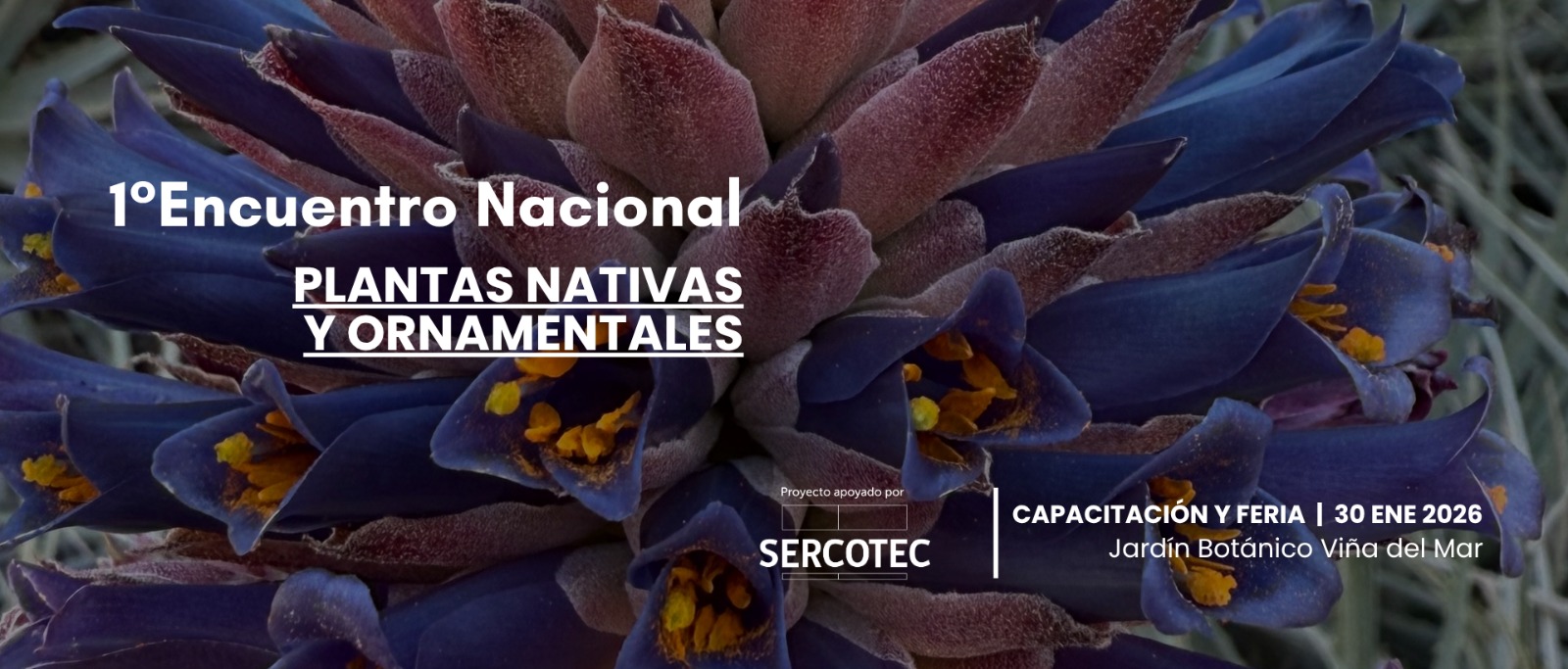 Encuentro Viveros 2026